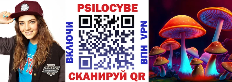 omg зеркало  купить   shop телеграм  Псилоцибиновые грибы мицелий  Светлогорск 